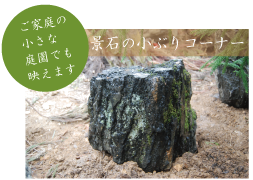 景石の小ぶりコーナー